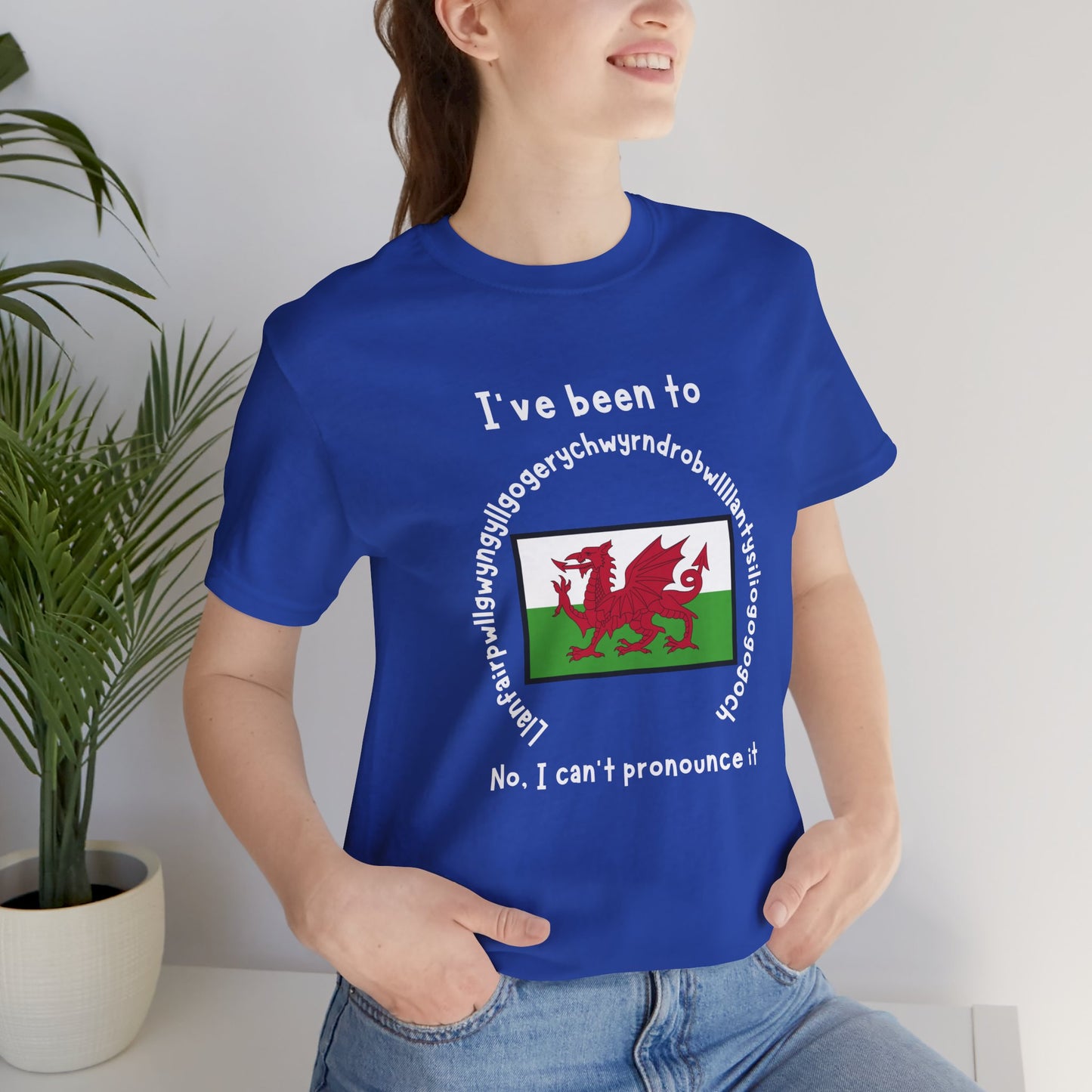 Llanfairpwllgwyngyllgogerychwyrndrobwllllantysiliogogogoch T-Shirt – Funny Wales Travel Merch