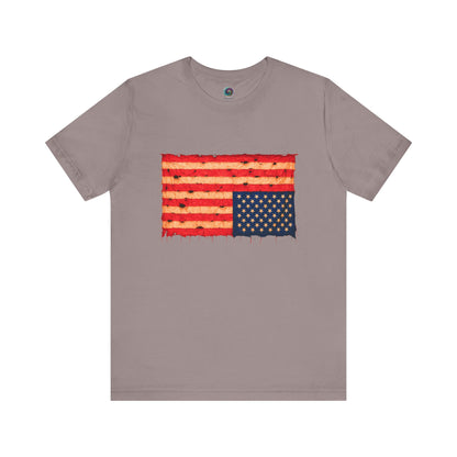 Inverted Flag Distressed T-Shirt – Nation in Distress Graphic Tee in pebble brown displayed in flat lay presentation.