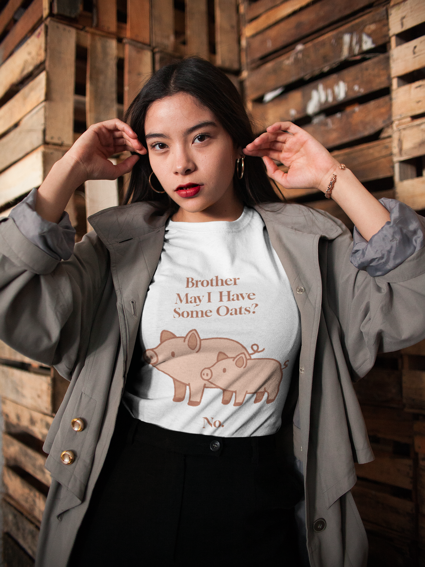 Brother May I Have Some Oats T-Shirt – Funny Viral Pig Meme Tee in white, styled in a wood interior space, showing the funny pig oats shirt front and center.